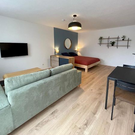 Grand Studio Joli Coeur - Calme Cosy Lumineux + Parking Apartment Nancy Exterior photo